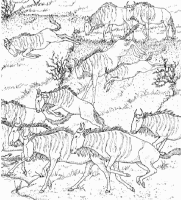 A coloring page of nature in africa